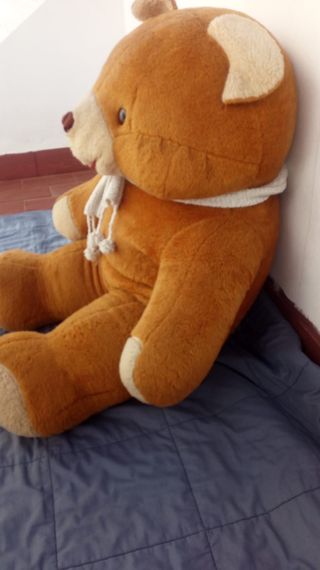 oso gigante