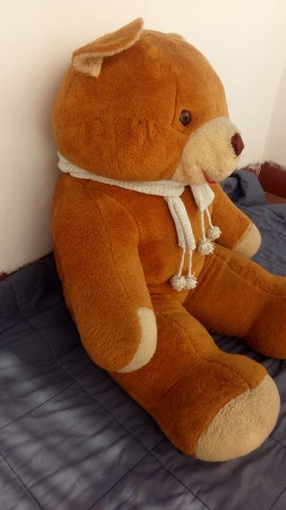 oso gigante