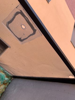 Terrario para camaleones