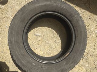 Firestone 195/70 R15c 104/102R 2008