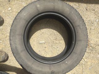 Firestone 195/70 R15c 104/102R 2008