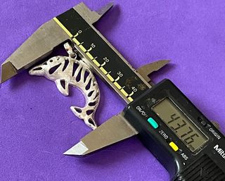 🐬🐬Delfín 🐬🐬