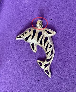 🐬🐬Delfín 🐬🐬