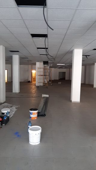 Ofrecemos servicio polivalente