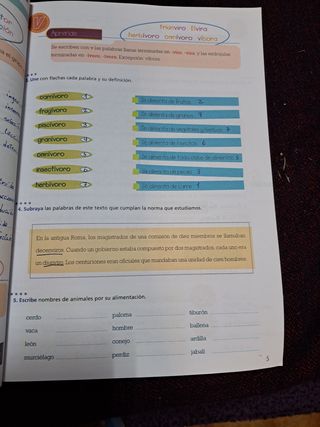 Libro Ortografía 3 curso