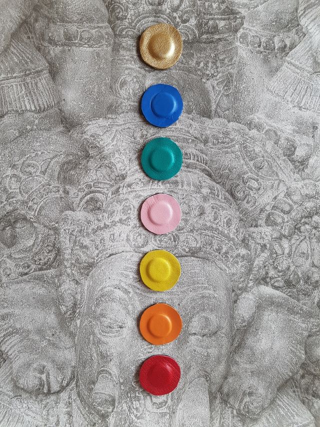Lote Chakras biomagnetismo cromoterapia. Neodimio