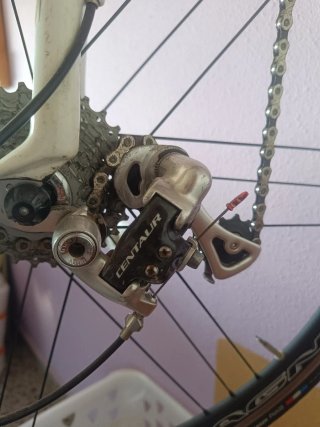 ditec 890 evo