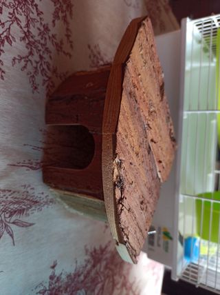 Jaula y complementos para hámster