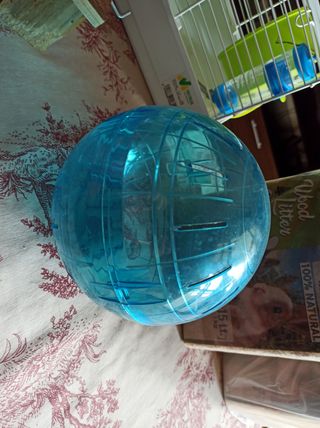 Jaula y complementos para hámster