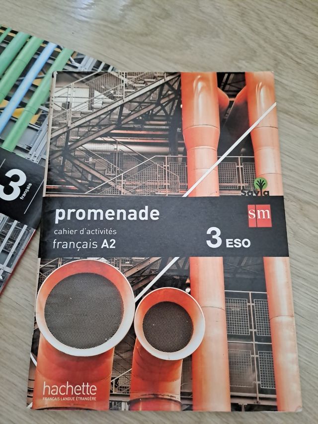 Libro de francés promenade