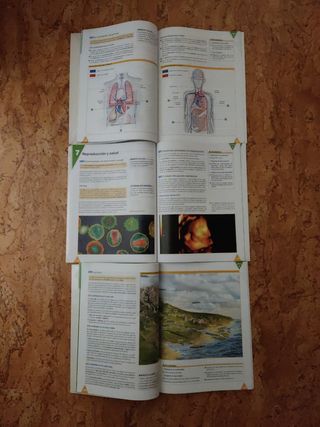 Biología y Geología 