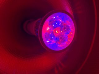 Portalampara con sensor y bombilla para plantas