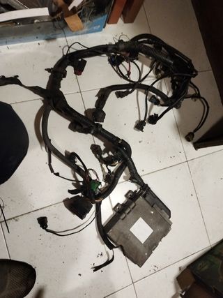 Instalación y centralita 1.3 rallye