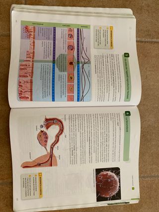 BIOLOGIA I GEOLOGIA 3ESO. Santillana
