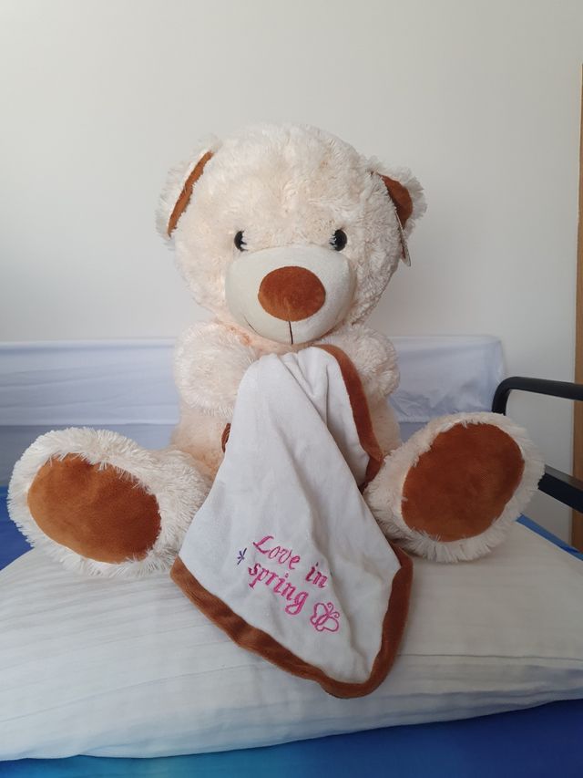 Peluches San Valentin