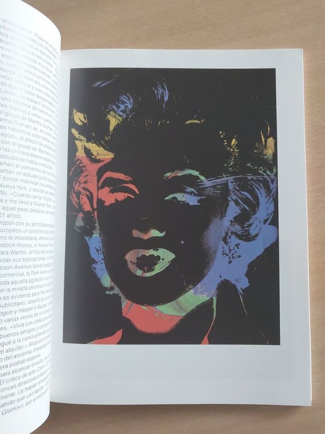 Andy Warhol - Klaus Honnef