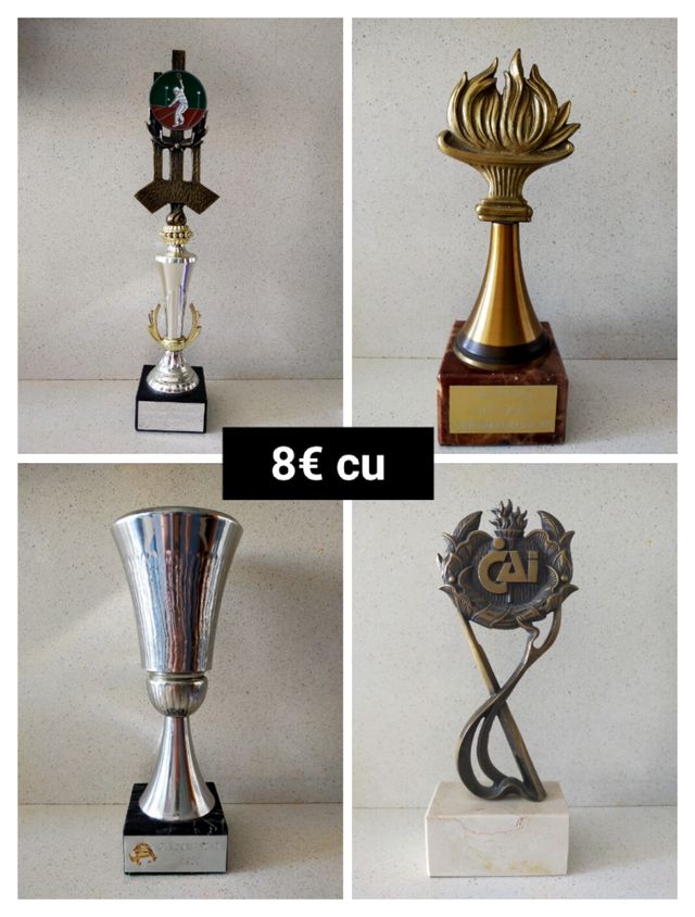 TROFEOS ( varias fotos )