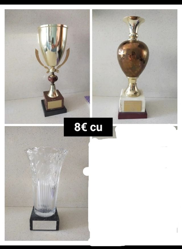 TROFEOS ( varias fotos )