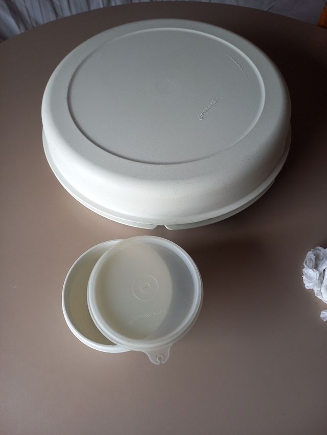 bandeja tuperware