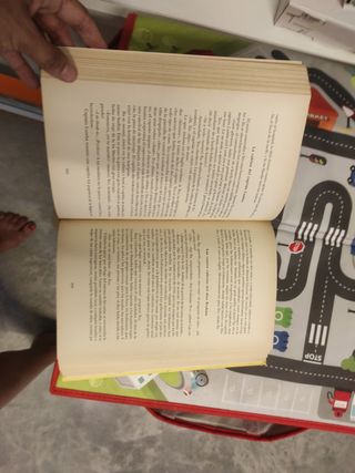 Libro el viaje de Teo