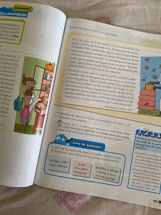 Libro de lengua 4 primaria Anaya