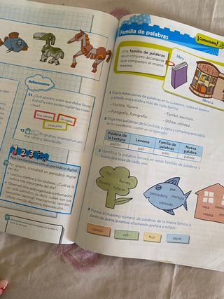 Libro de lengua 4 primaria Anaya