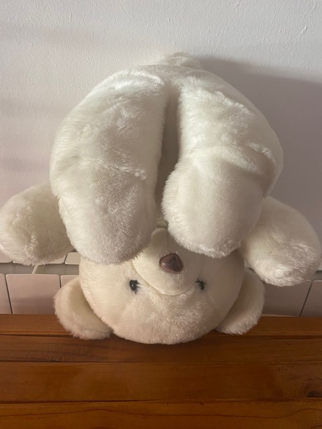 Oso peluche