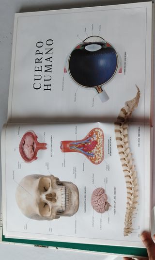 Enciclopedia visual de los seres vivos