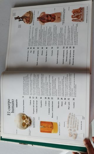 Enciclopedia visual de los seres vivos
