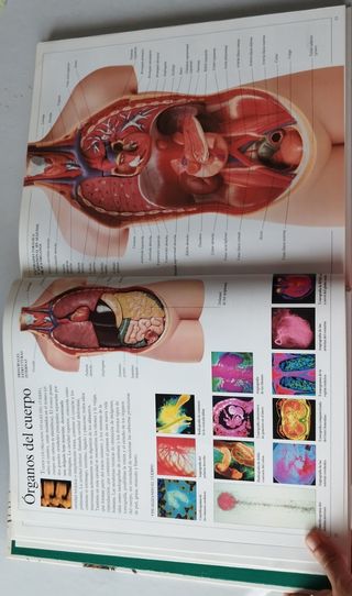 Enciclopedia visual de los seres vivos