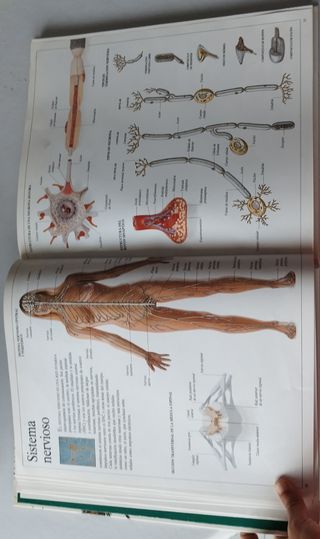 Enciclopedia visual de los seres vivos