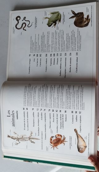 Enciclopedia visual de los seres vivos