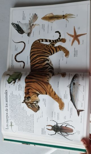 Enciclopedia visual de los seres vivos