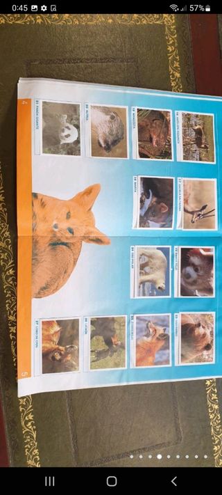 antiguo álbum de cromos