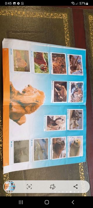 antiguo álbum de cromos