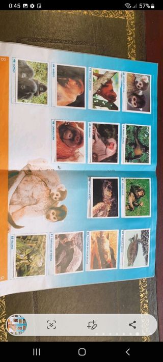 antiguo álbum de cromos