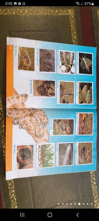 antiguo álbum de cromos