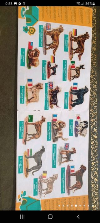 antiguo álbum de cromos