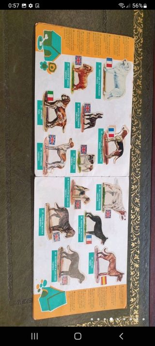 antiguo álbum de cromos