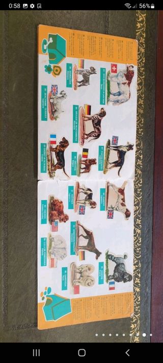 antiguo álbum de cromos