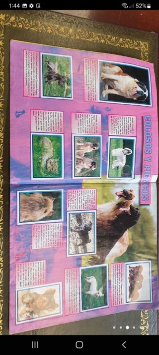 antiguo álbum de cromos