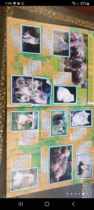 antiguo álbum de cromos