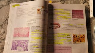 Libro biología y geología 1°bachillerato