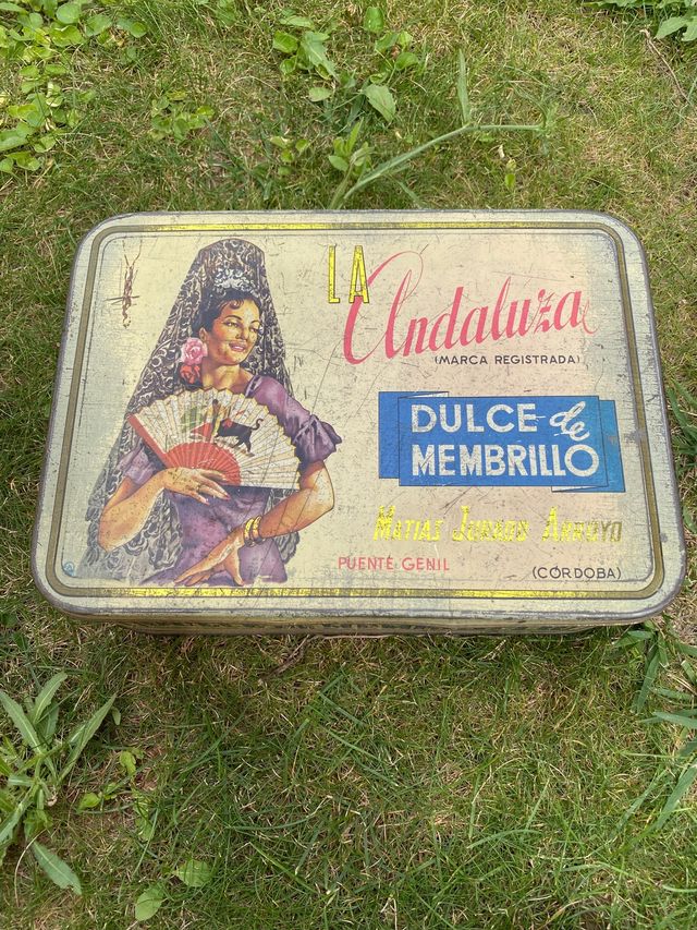 Vecchia latta 'Quince La Andaluza'