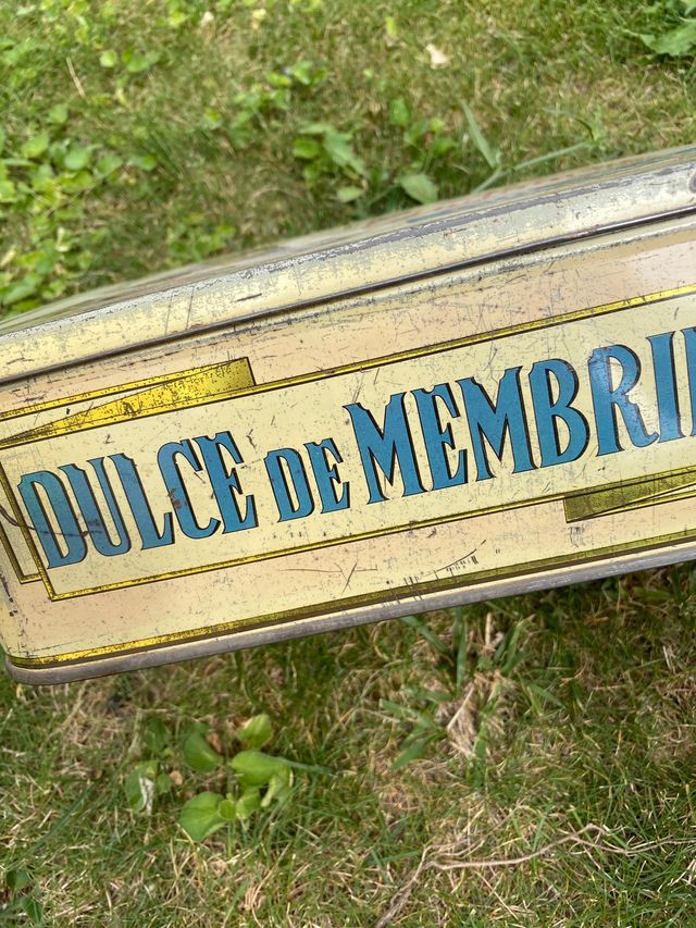 Vecchia latta 'Quince La Andaluza'