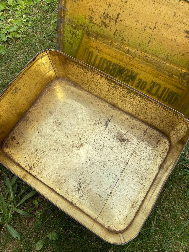 Vecchia latta 'Quince La Andaluza'