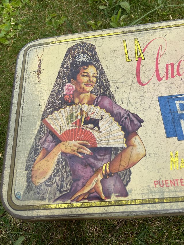 Vecchia latta 'Quince La Andaluza'