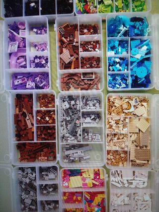 Lote 10 cajas organizadoras con compartimentos