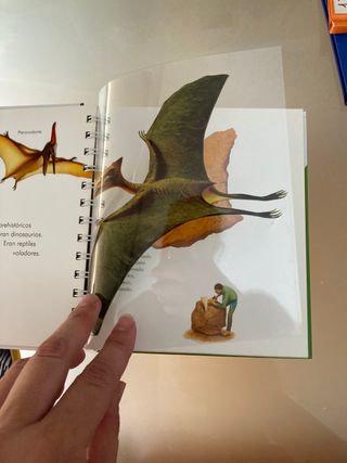 Lote libros infantiles