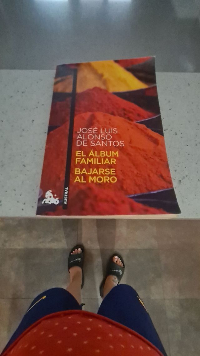 EL ALBUM FAMILIAR BAJARSE AL MORO Autor Jose Luis